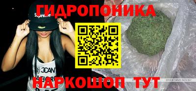 твердый Владикавказ