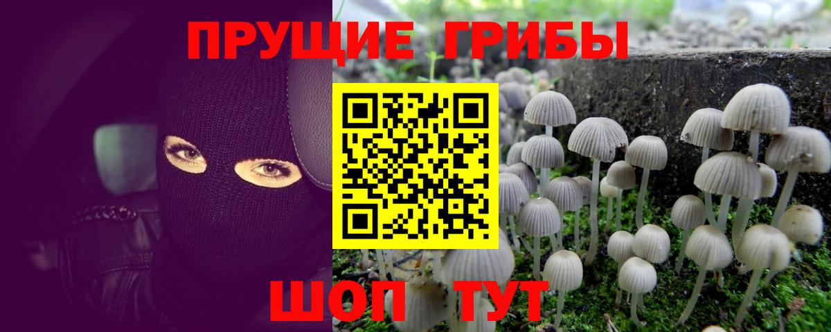 Галлюциногенные грибы GOLDEN TEACHER Алексин