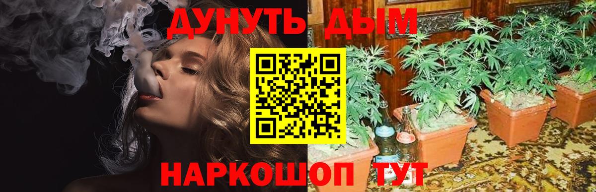 Каннабис LSD WEED  МАРИХУАНА план  Шишки марихуана VHQ  Вход с VPN  Шишки марихуана Amnesia  Алексин 